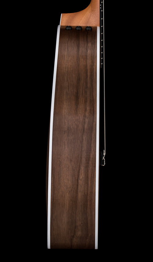 Taylor 214ce-N #55523 (Demonstration Model)