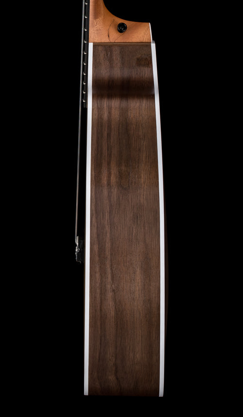 Taylor 214ce-N #55523 (Demonstration Model)