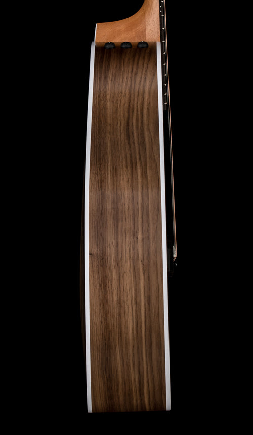 Taylor 214ce #06553