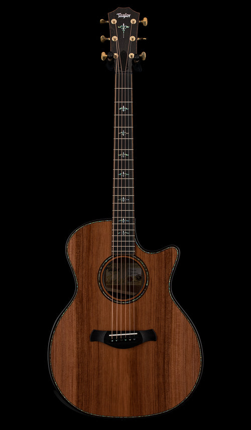 Taylor Next Generation Builder's Edition 914ce Honduran Rosewood/Sinker Redwood #66003