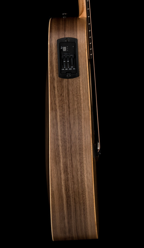 Taylor Big Baby Taylor (BBTe) #26068 (Demonstration Model)