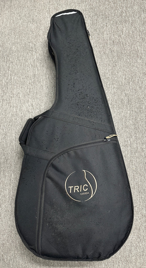 Used Seagull Artist Mosaic CW Folk QII - Natural #00462 with Original Hard Case