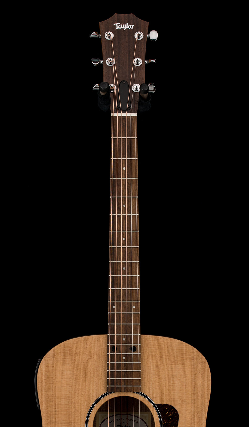 Taylor Big Baby Taylor (BBTe) #16071 (Demonstration Model