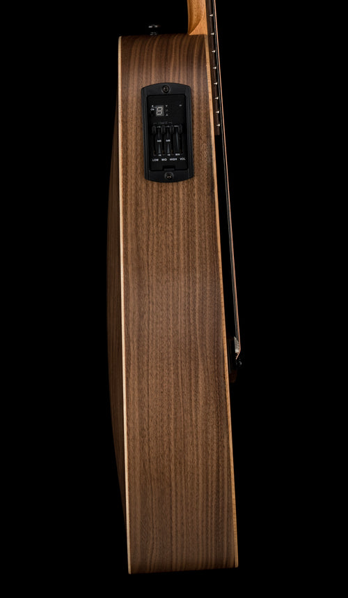 Taylor Big Baby Taylor (BBTe) #16071 (Demonstration Model)