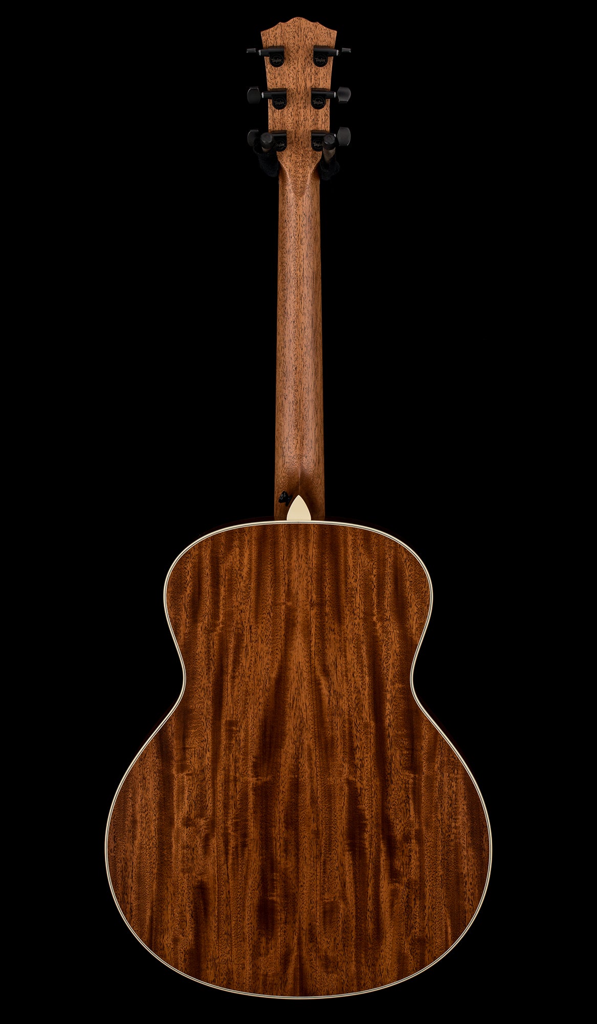 Taylor Custom Shop Gold Label C24e SA B6016 - Natural #56088