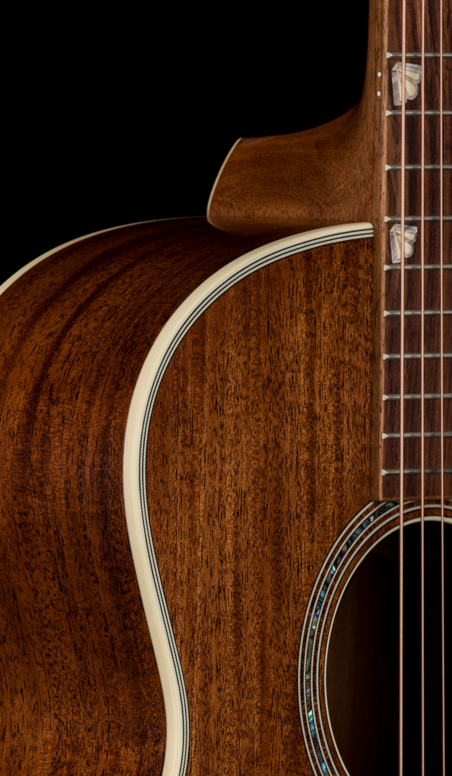 Taylor Custom Shop Gold Label C24e SA B6016 - Natural #56088