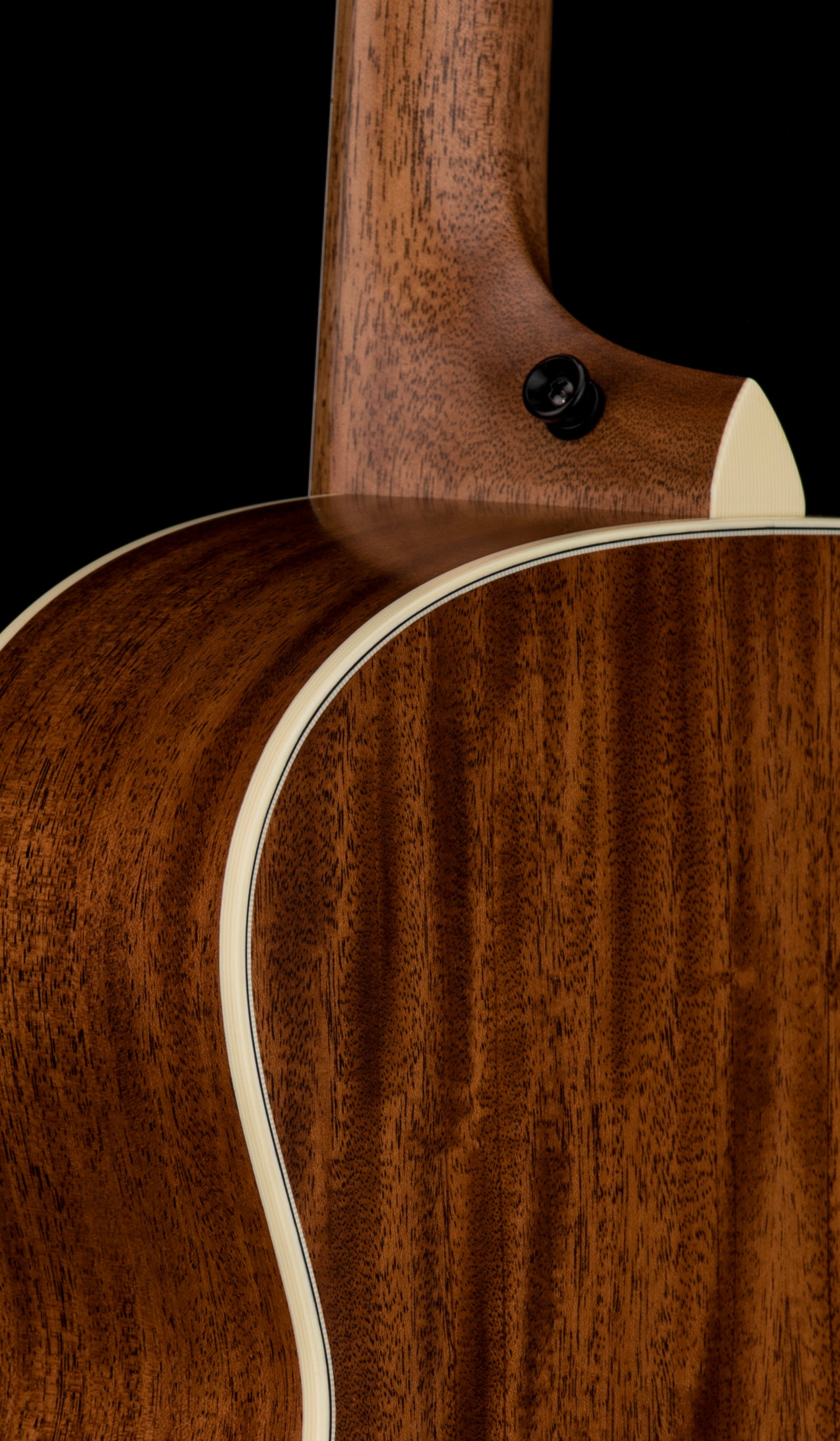 Taylor Custom Shop Gold Label C24e SA B6016 - Natural #56088
