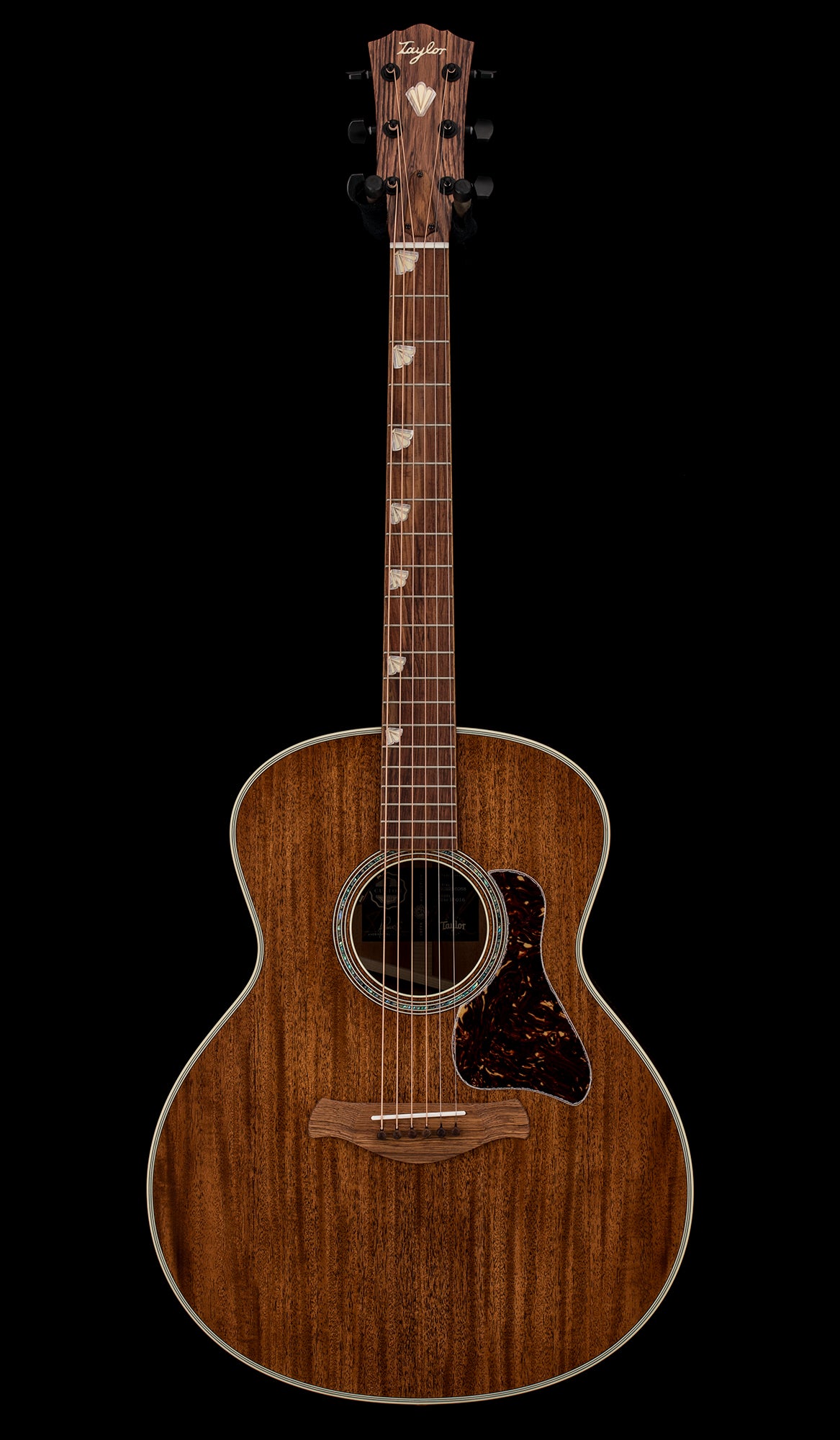 Taylor Custom Shop – tagged 