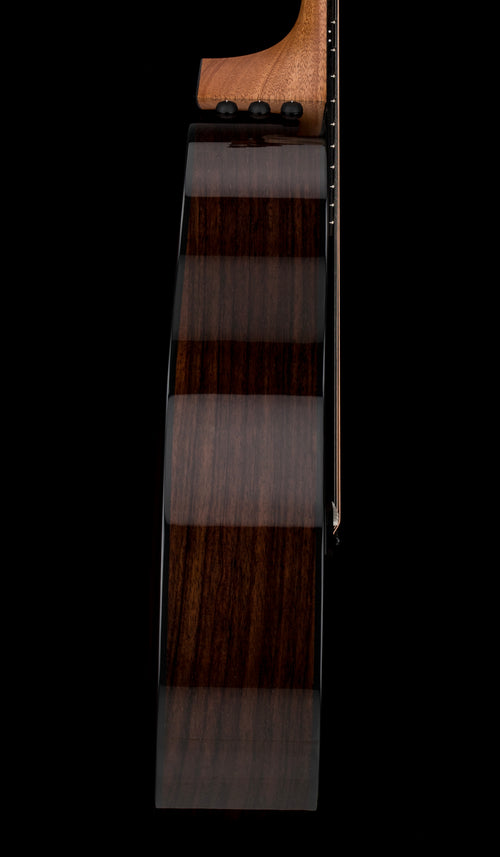Taylor 214ce Plus #65488 (Demonstration Model)