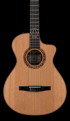 Taylor Jason Mraz Signature JMSM #25022 (NAMM 2026)