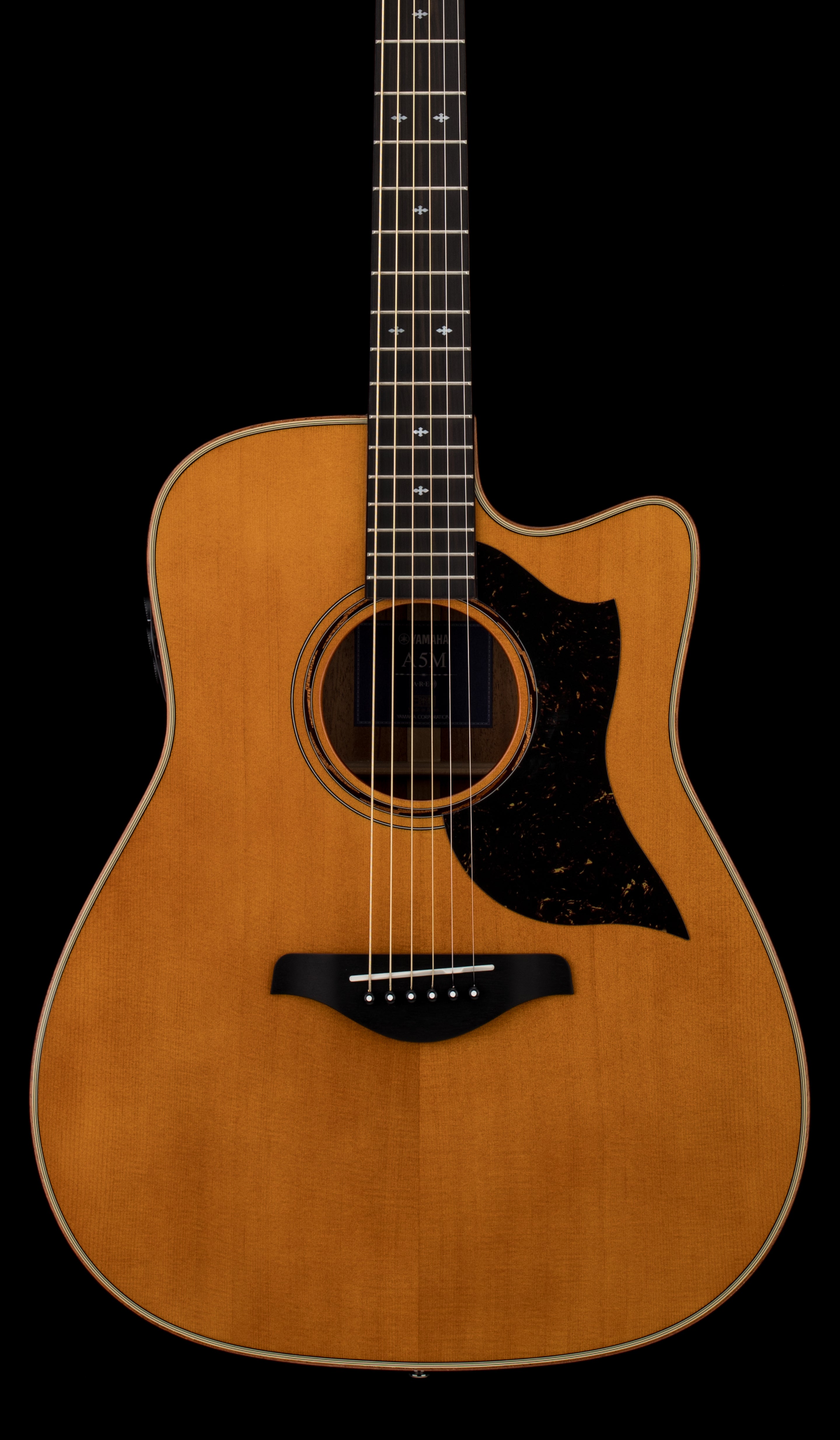 Yamaha A5M ARE - Vintage Natural #IKP602A – Empire Music