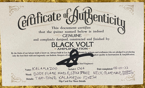 Black Volt Kalamazoo T-Style - Two Tone Kalamazoo Burst #066