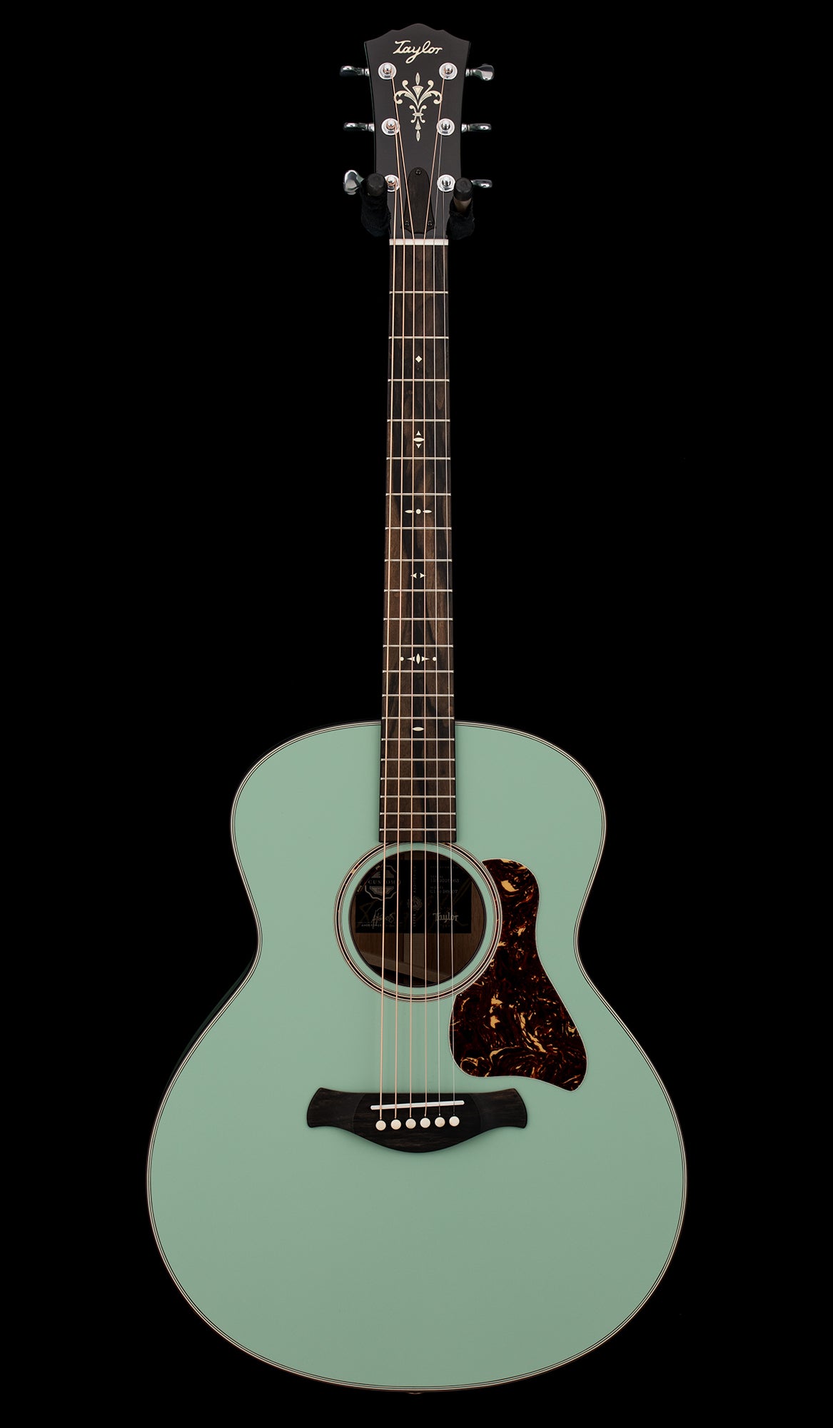 Taylor Custom Shop – tagged 