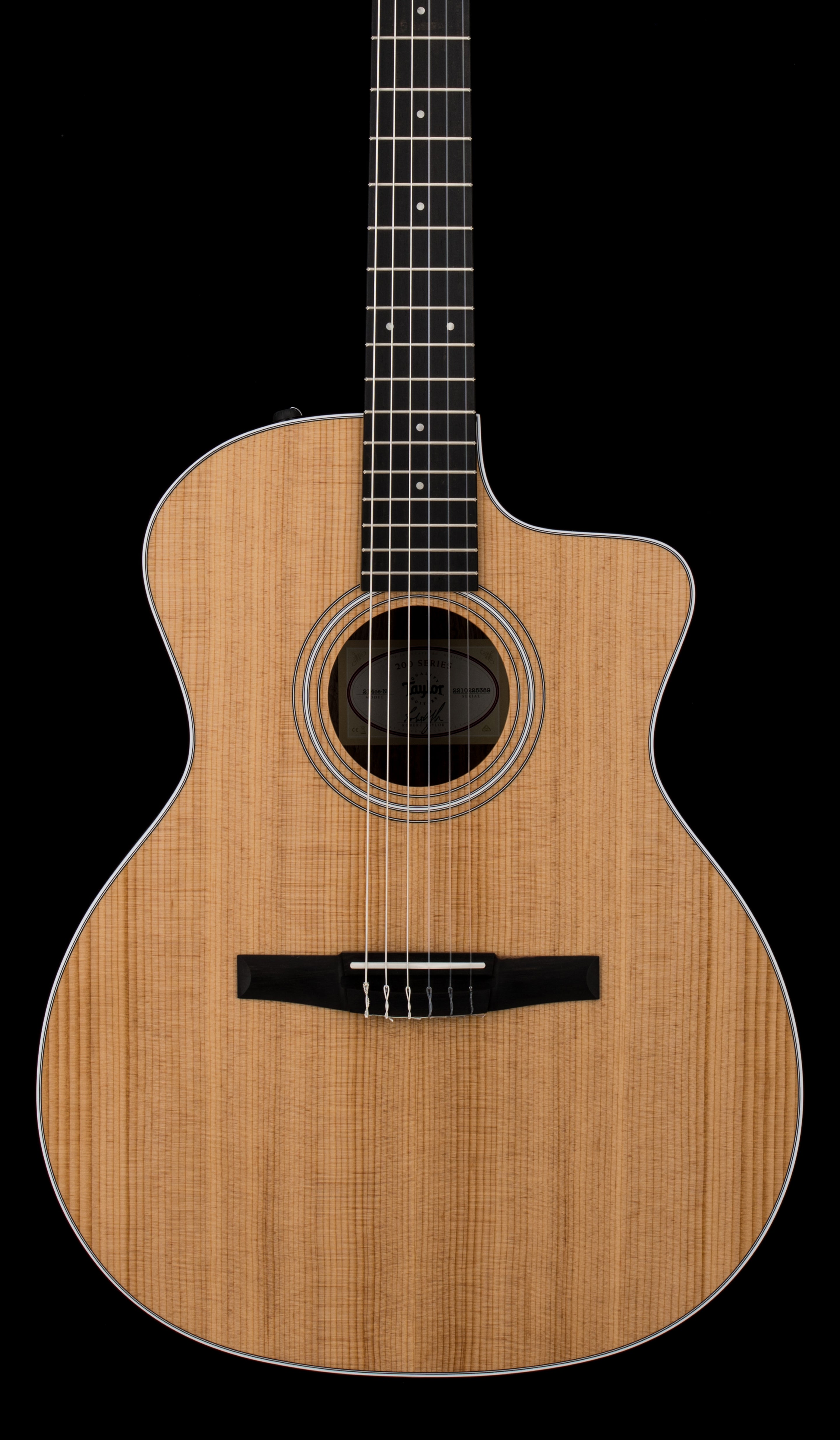 Taylor 214ce-N #25389 – Empire Music