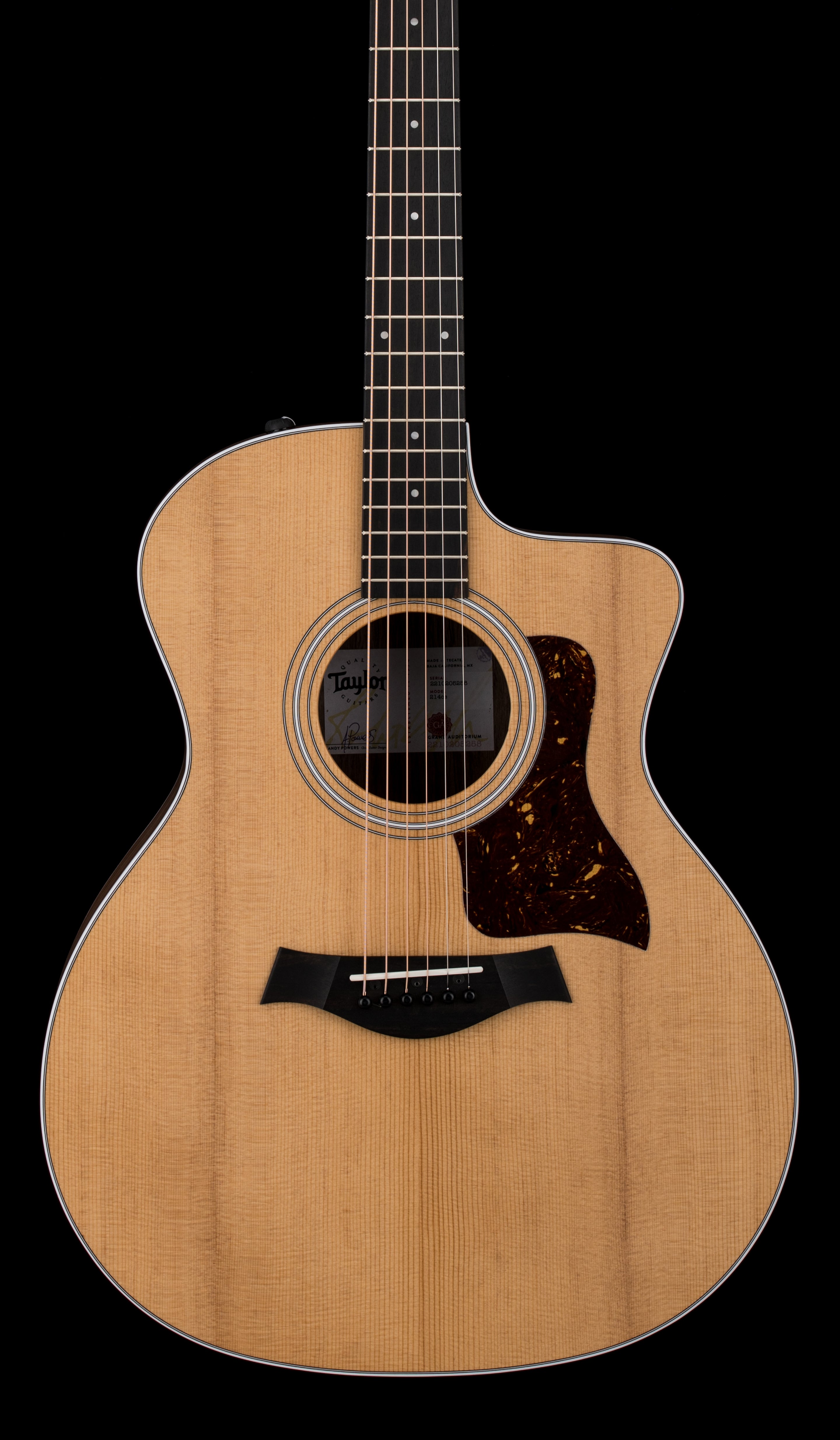 Taylor 214-ce ジャンク品 Taylor 214ce #05258 (Demonstration Model) – Empire Music