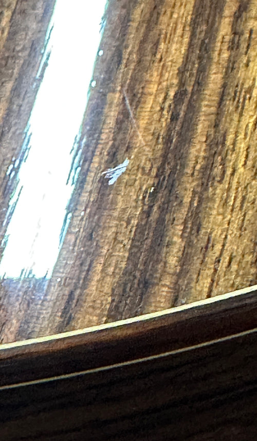 Used Taylor NS72ce (2008) #28718 with Original Hard Case