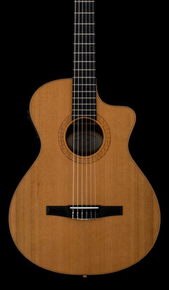 Used Taylor NS72ce (2008) #28718 with Original Hard Case