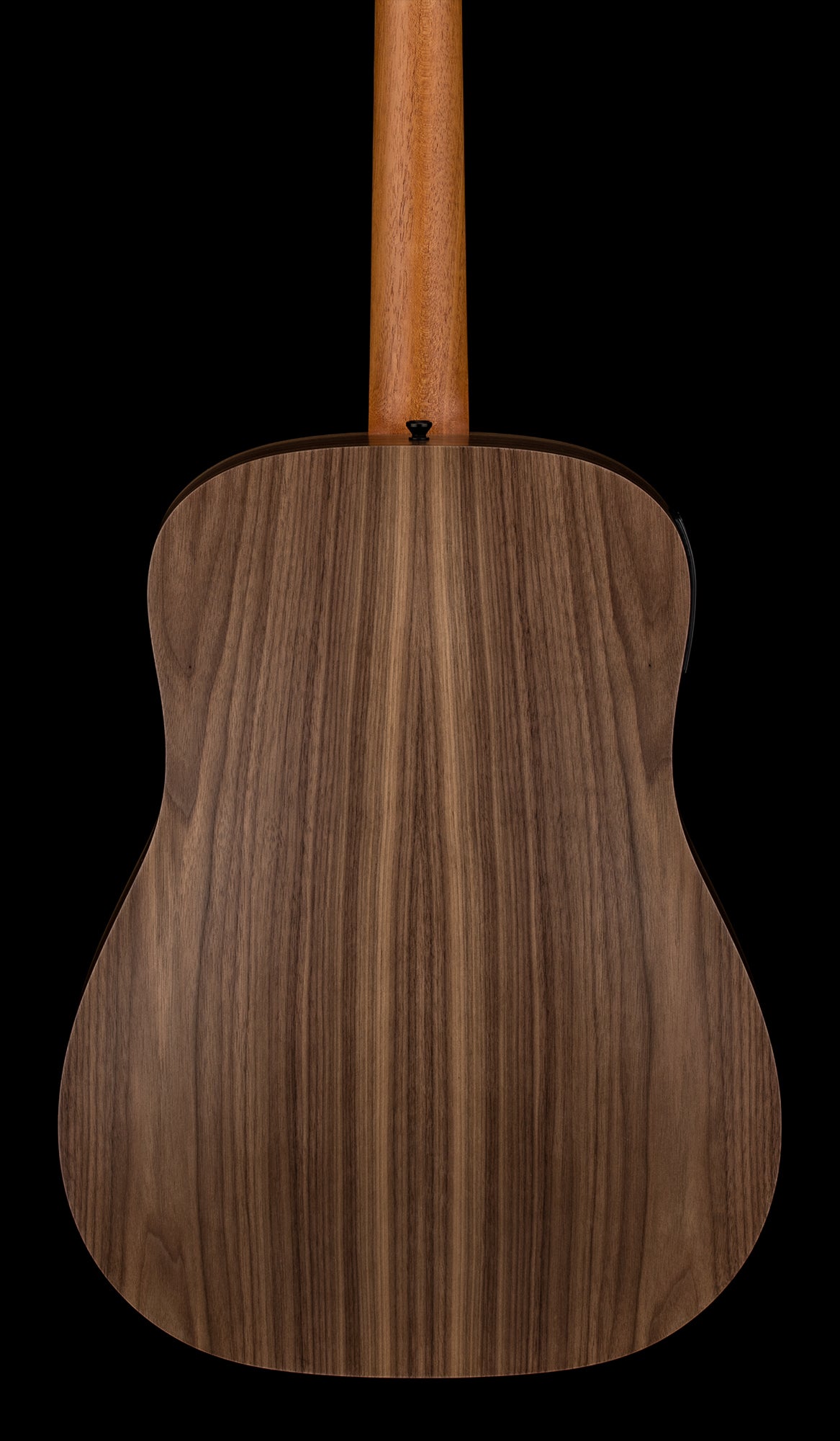 Taylor Big Baby Taylor (BBTe) #26065 (Demonstration Model