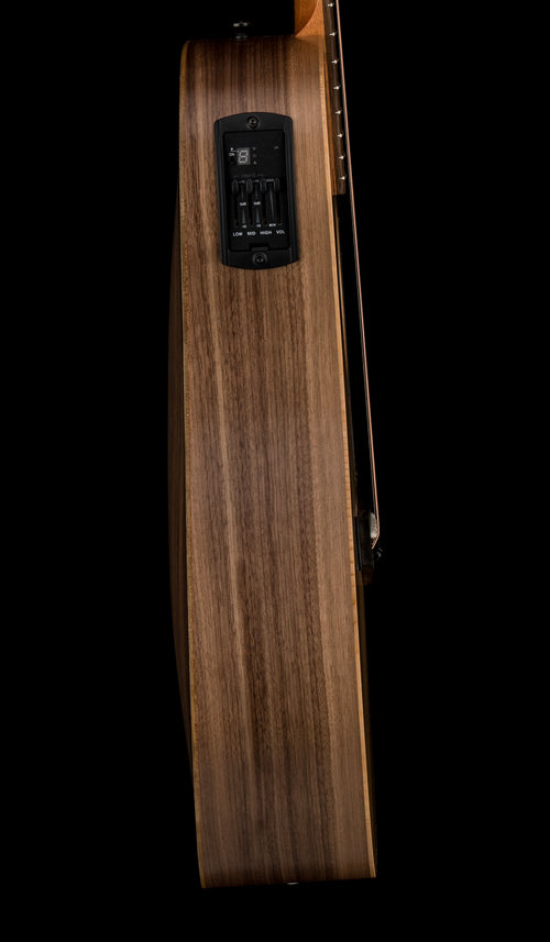 Taylor Big Baby Taylor (BBTe) #26065 (Demonstration Model)