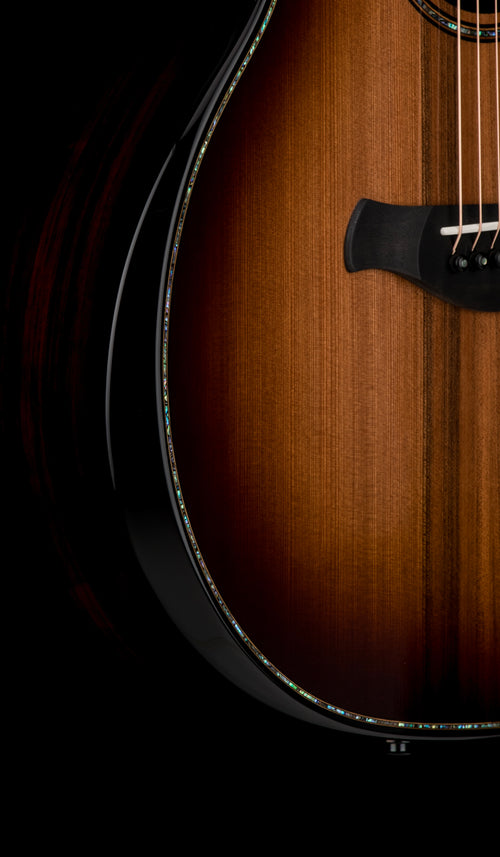 Taylor Builder's Edition 914ce LTD Macassar Ebony #36089