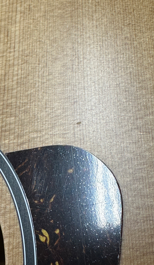 Taylor BBTe #05050 (Demonstration Model)