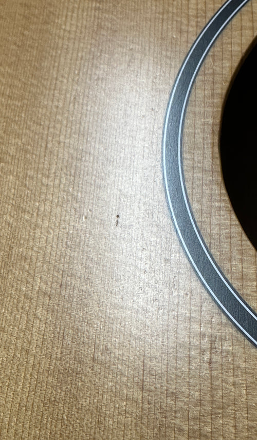 Taylor BBTe #05050 (Demonstration Model)