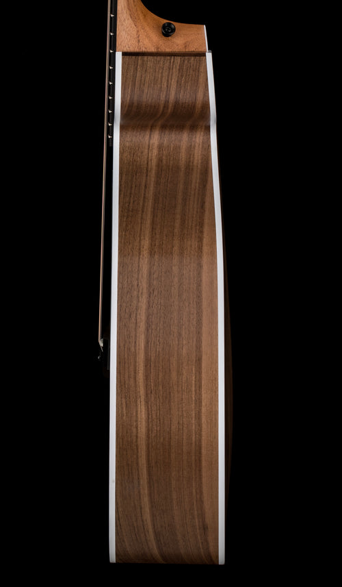 Taylor 214ce #56287 (Demonstration Model)
