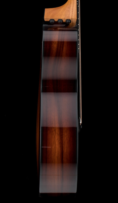 Taylor 222ce-K DLX #93345 (Demonstration Model)