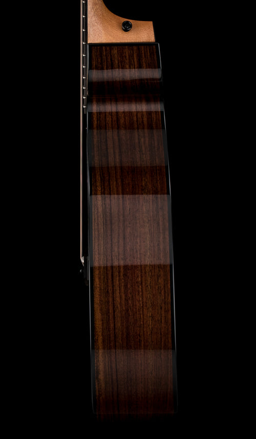 Taylor 214ce Plus #55464 (Demonstration Model)