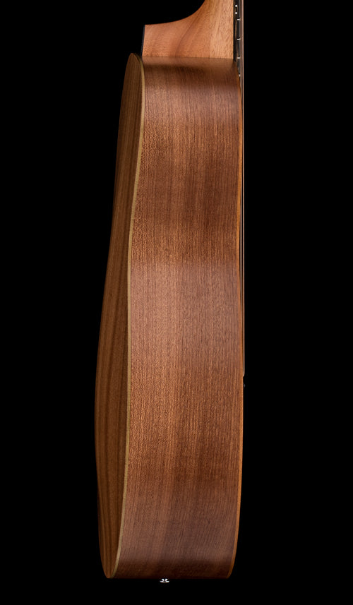 Taylor GS Mini Mahogany #96207