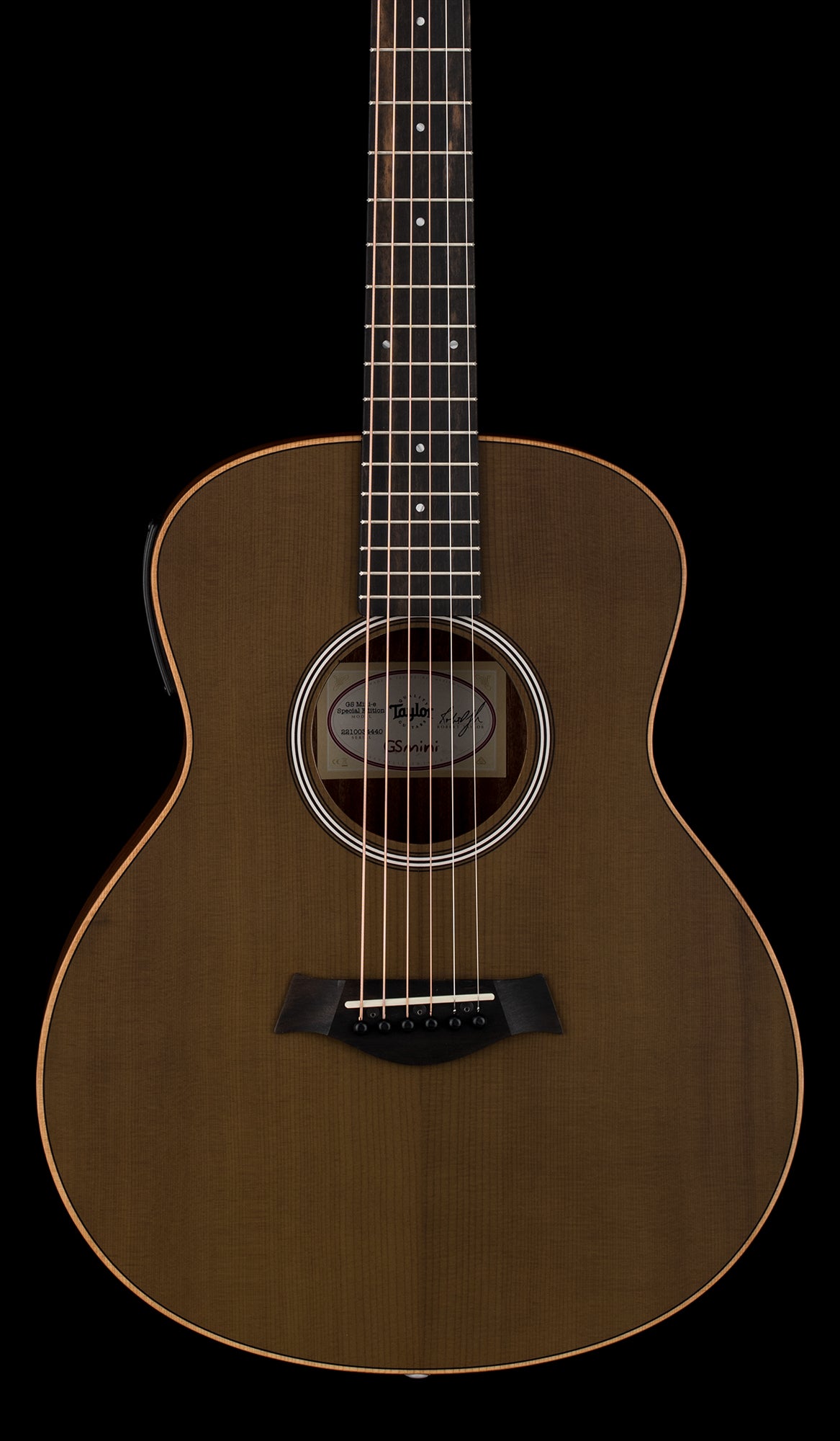 Taylor GS Mini-e Special Edition (Prototype) - Olive