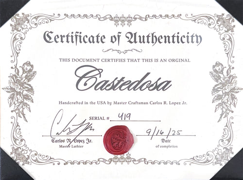 Castedosa Guitars 3511 Lobo - Aged Deep Space Black #419