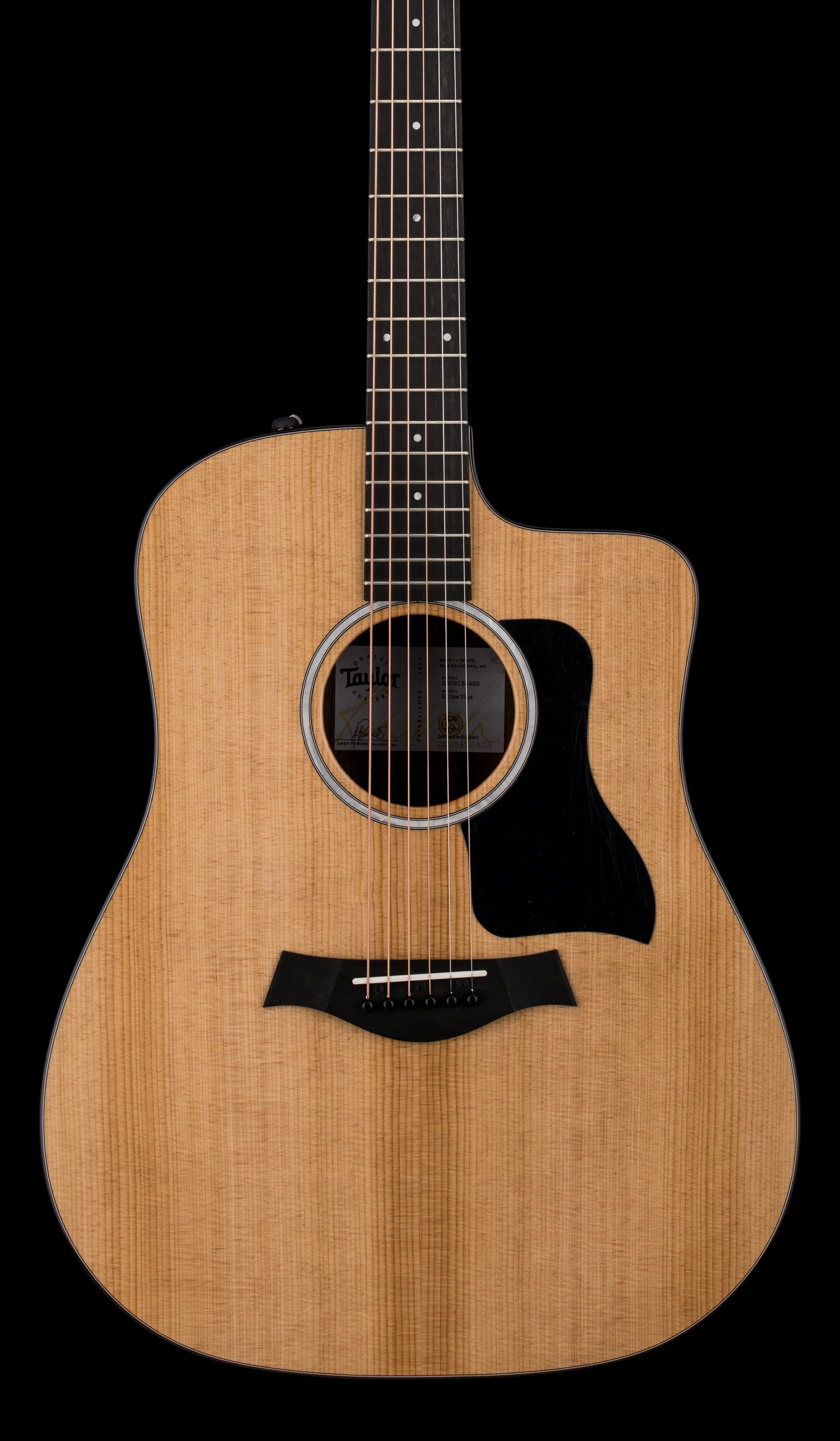 Taylor 210ce Plus #95455 (Demonstration Model) – Empire Music