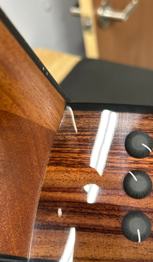 Taylor 210ce Plus #45546 (Demonstration Model)