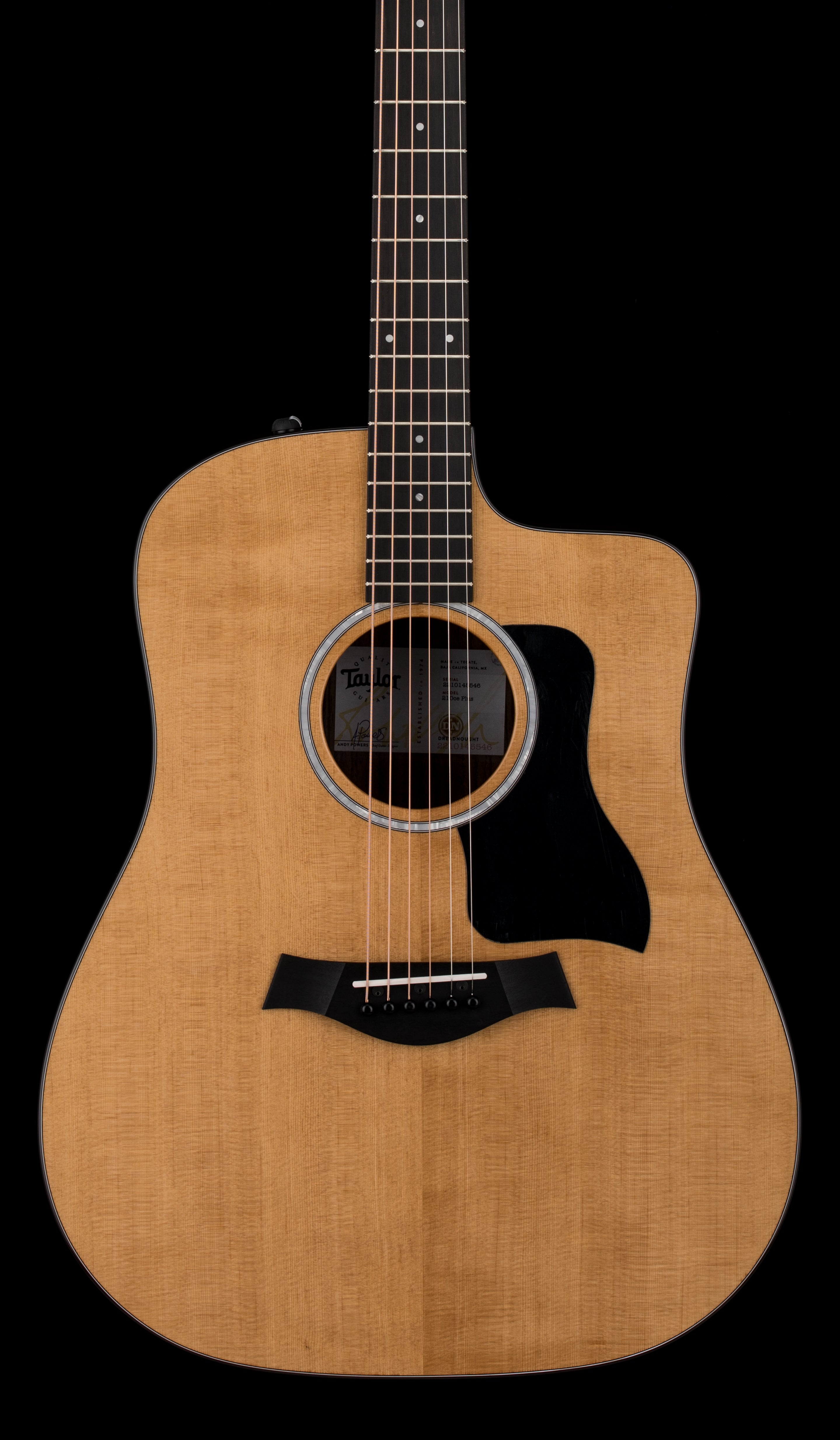 Taylor 210ce Plus #95455 (Demonstration Model) – Empire Music
