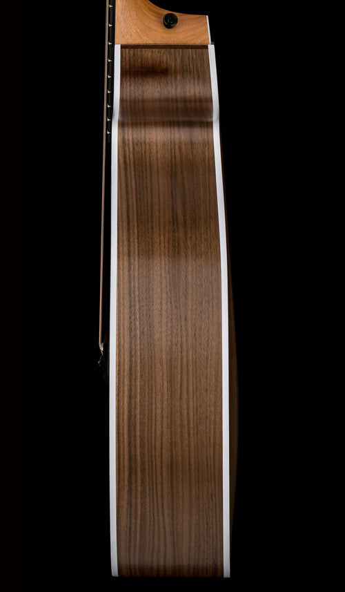 Taylor 214ce #16367 (Demonstration Model)