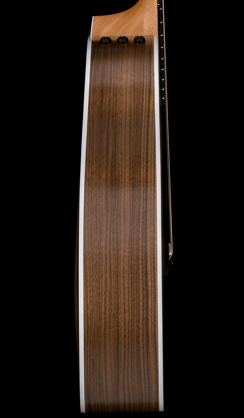 Taylor 214ce #16367 (Demonstration Model)