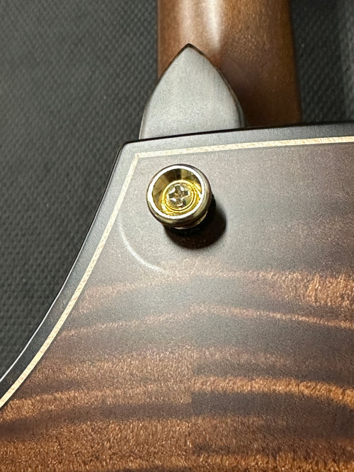 Used Taylor Builder's Edition 614ce (2023) - Wild Honey Burst #13076 with Original Hard Case