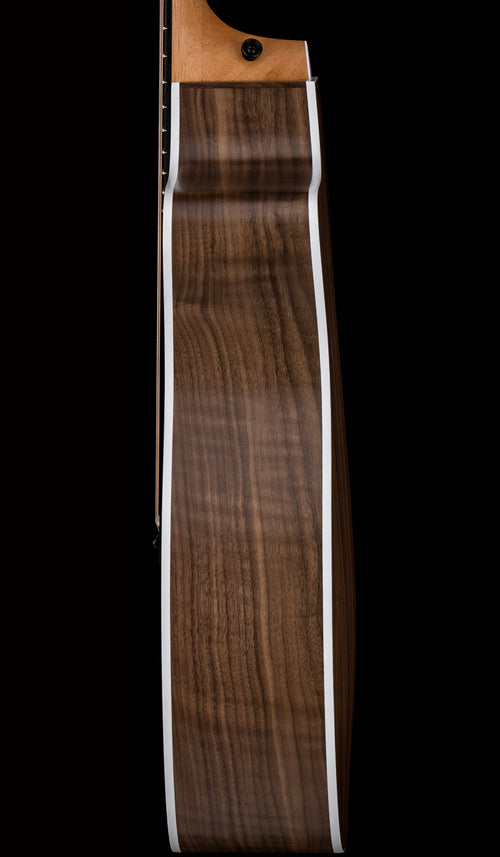 Taylor 214ce #16315 (Demonstration Model)