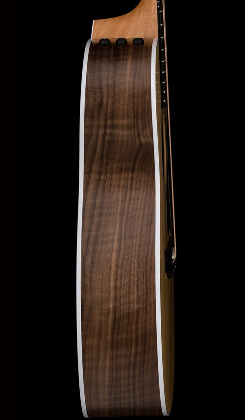 Taylor 214ce #16315 (Demonstration Model)