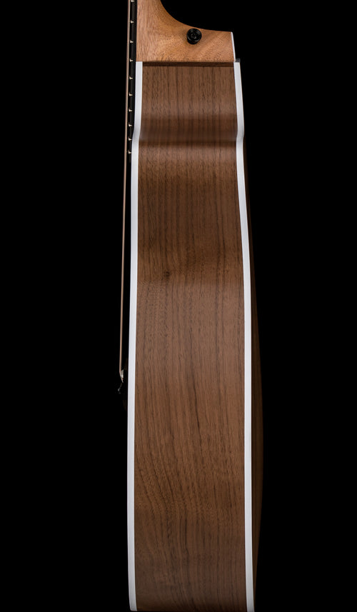 Taylor 214ce #36280 (Demonstration Model)