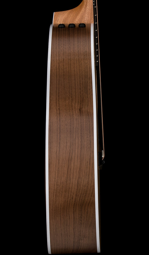 Taylor 214ce #36280 (Demonstration Model)