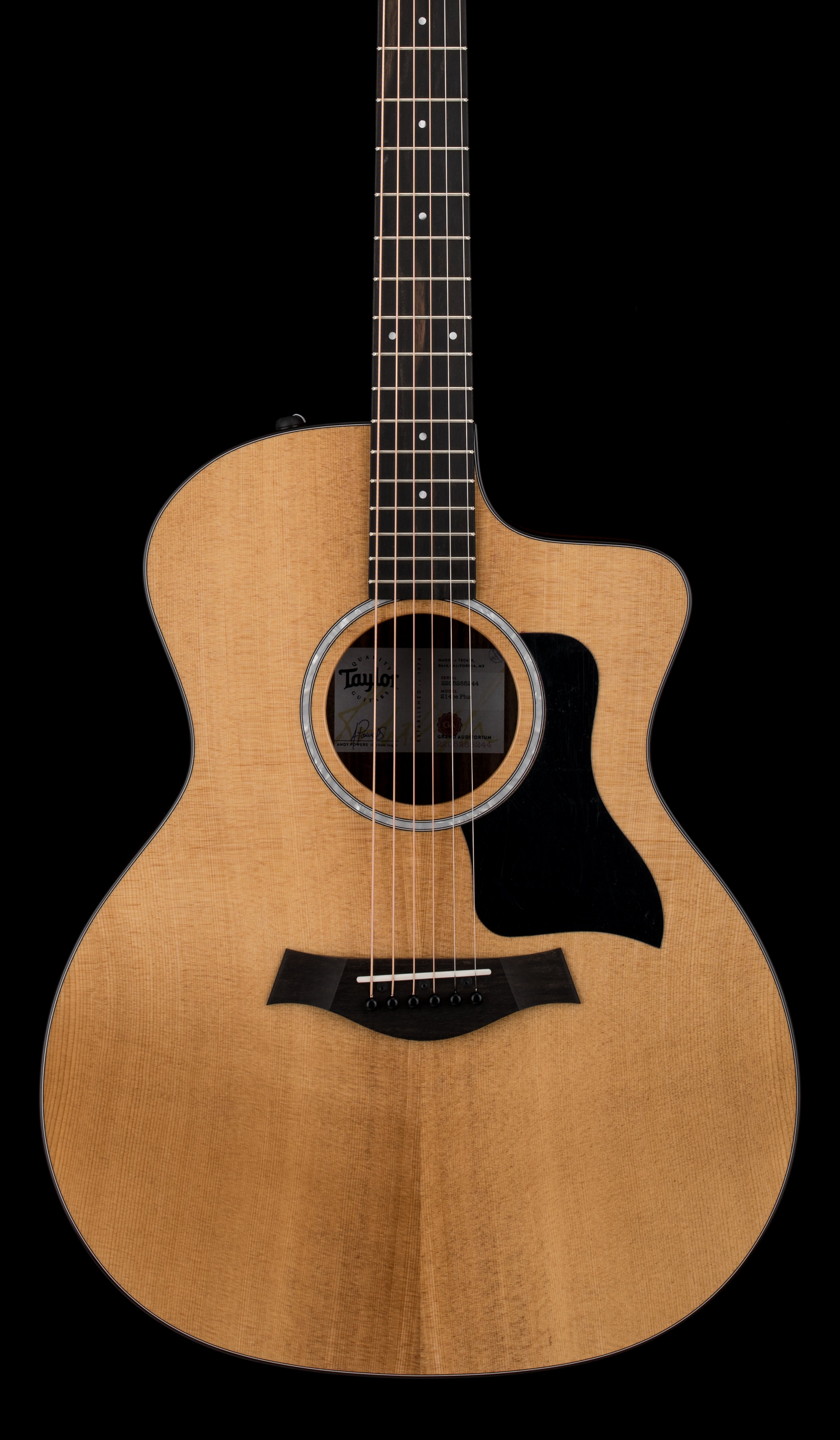 Taylor 214ce Plus #85244 – Empire Music