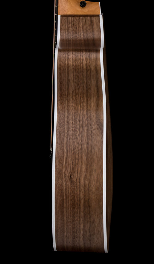 Taylor 214ce #46304 (Demonstration Model)