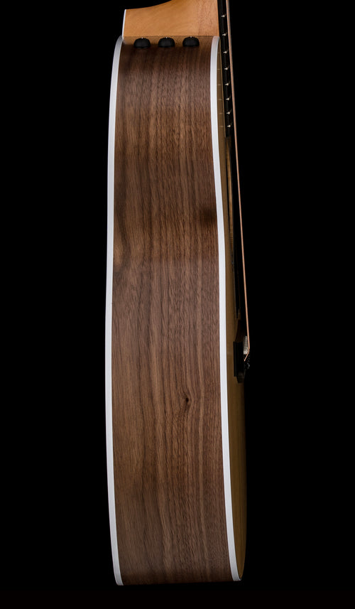 Taylor 214ce #46304 (Demonstration Model)
