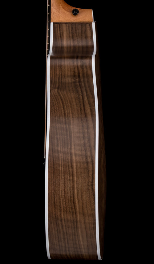 Taylor 214ce #16313 (Demonstration Model)