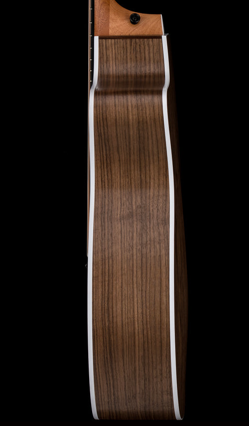 Taylor 214ce #26269 (Demonstration Model)