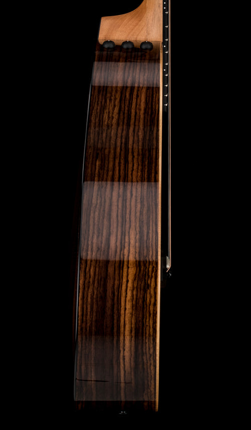 Taylor GS Mini-e Rosewood Plus #56228 (Demonstration Model)