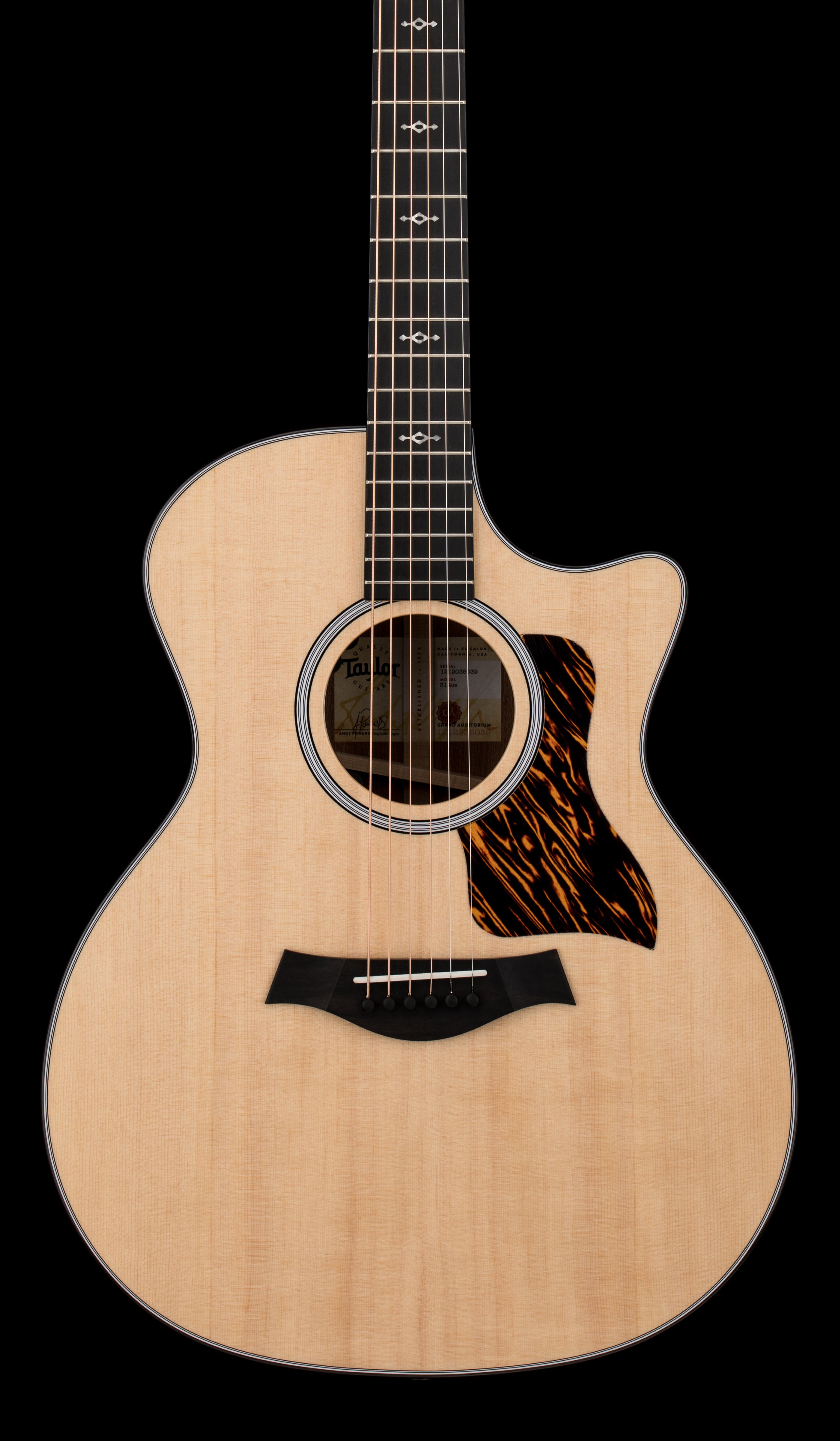 Taylor Next Generation 314ce (2026) – Empire Music