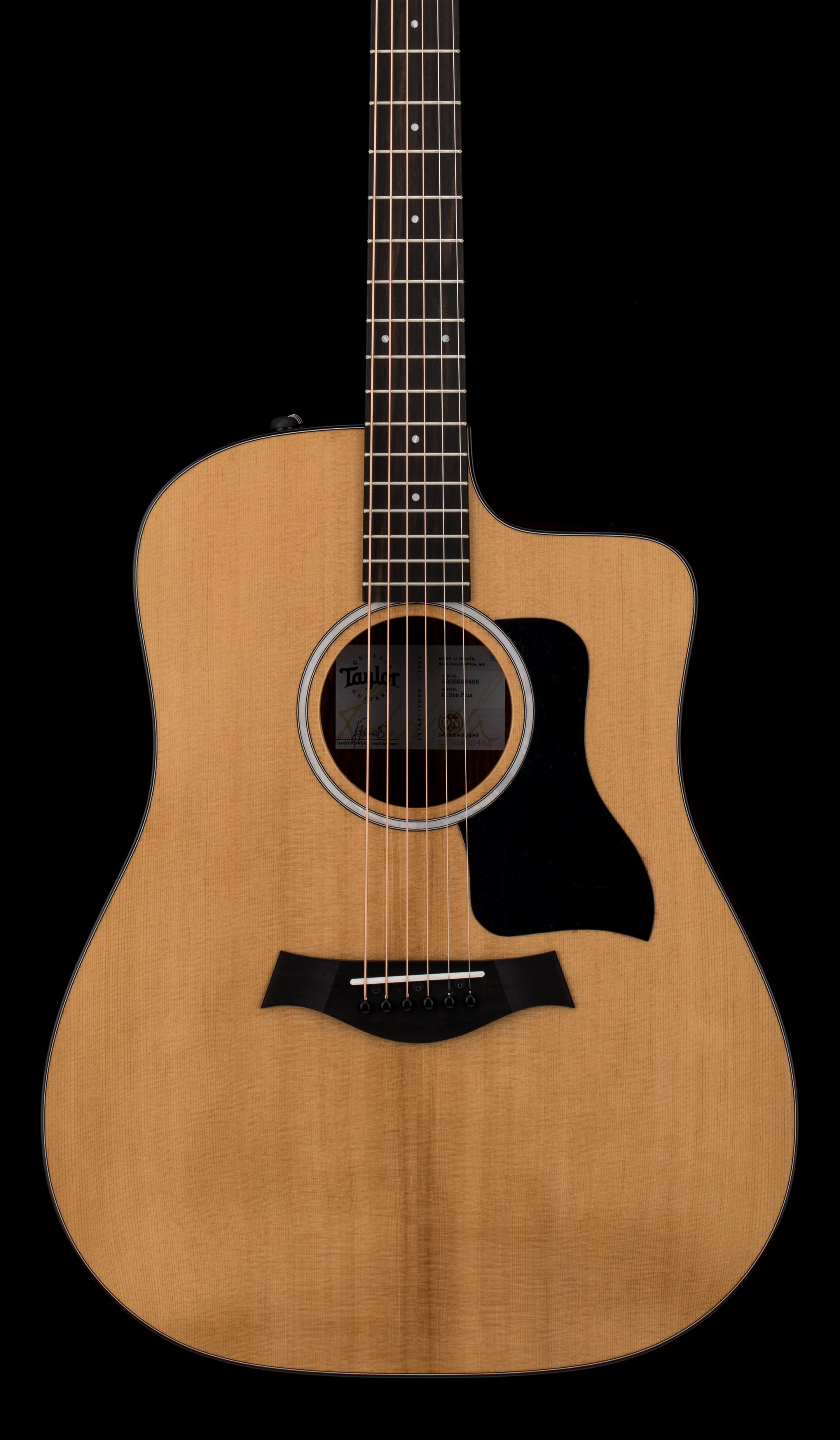 Taylor 210ce Plus #95455 (Demonstration Model) – Empire Music